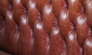 pexels-photo-12905112